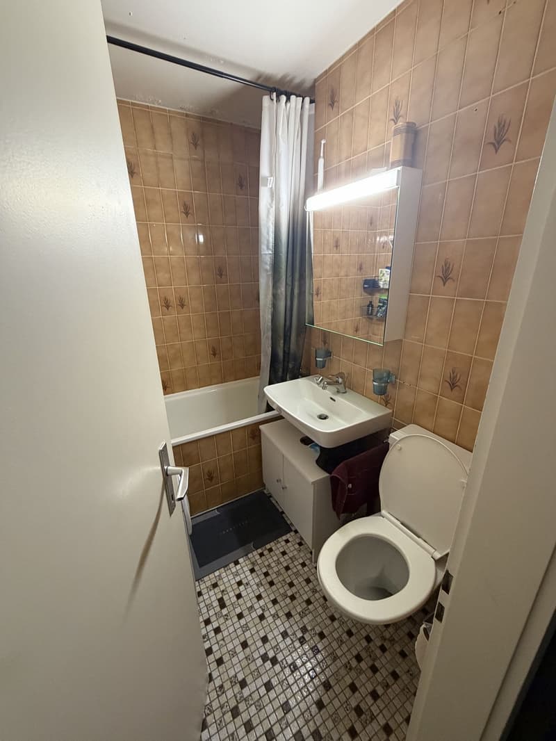 Wohnung, 2 Zimmer, 1 Etage (8)