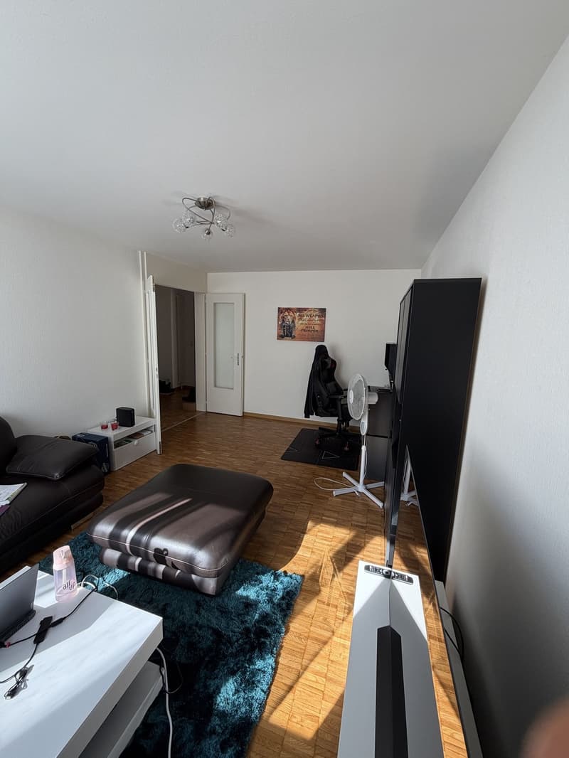 Wohnung, 2 Zimmer, 1 Etage (3)