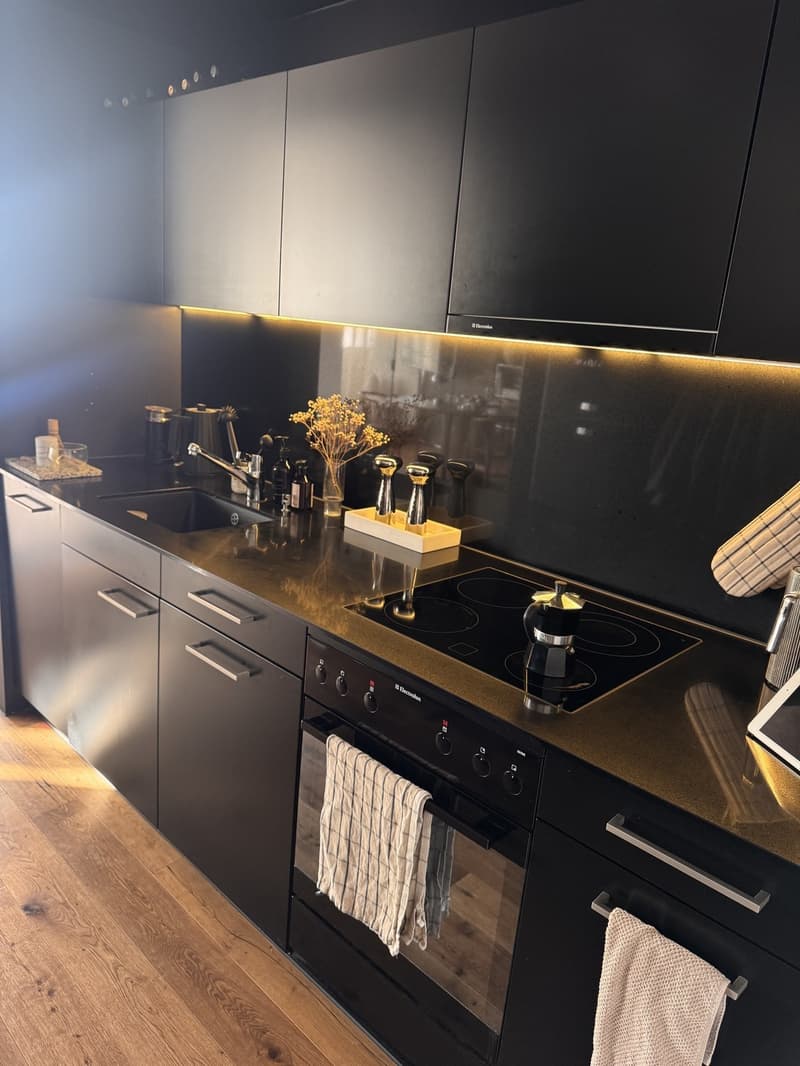 Loft 1.5 pièces lumineux avec terrasse sur le toit (8032 Zurich) (6)