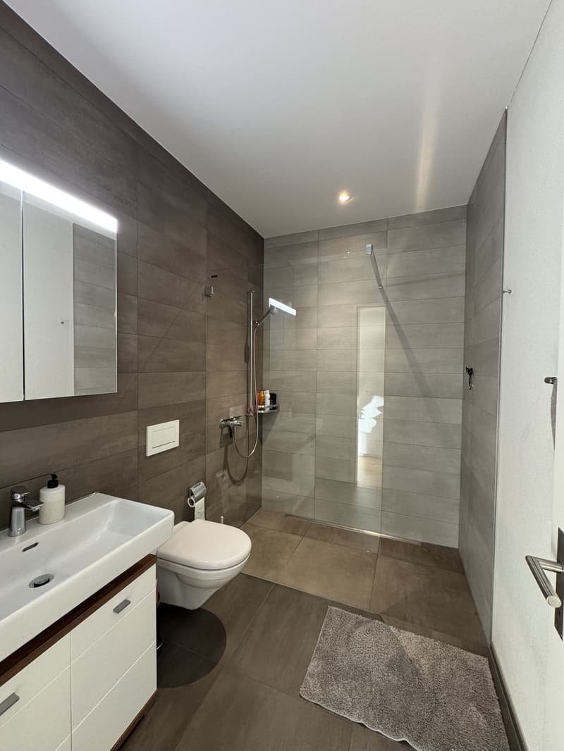 Appartamento 3,5 locali (3)