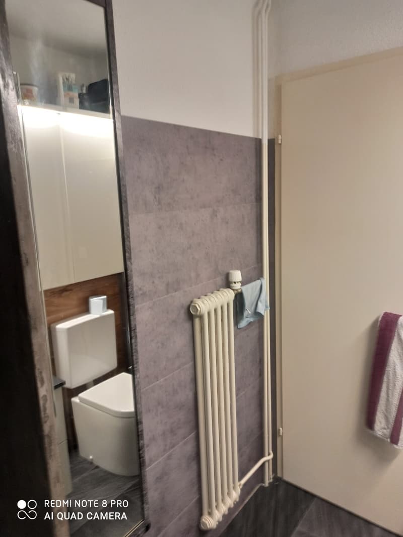 3 ½ Zimmer-Wohnung, 8632 Tann (3)