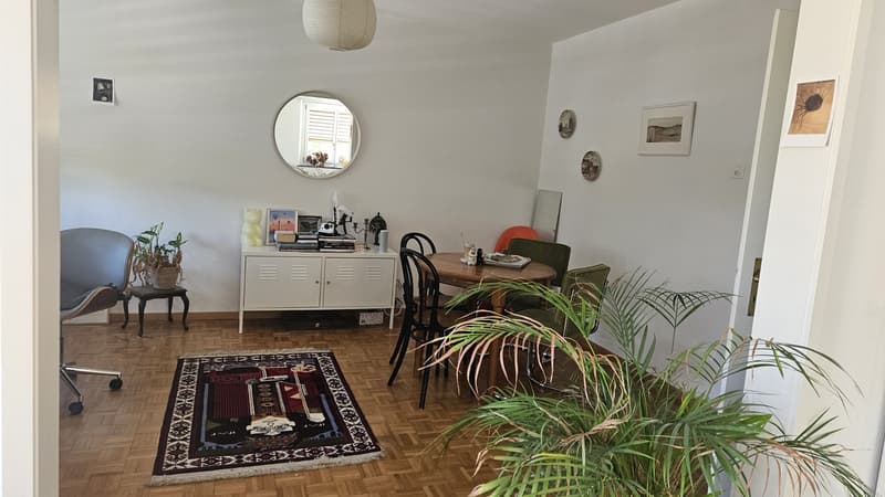 Sunny 2.5 room apartment in Zürich Enge (5)