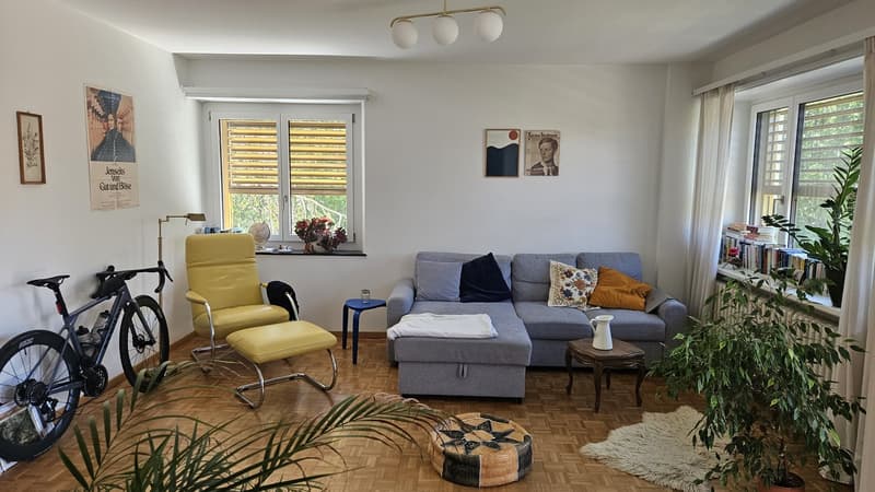 Sunny 2.5 room apartment in Zürich Enge (1)