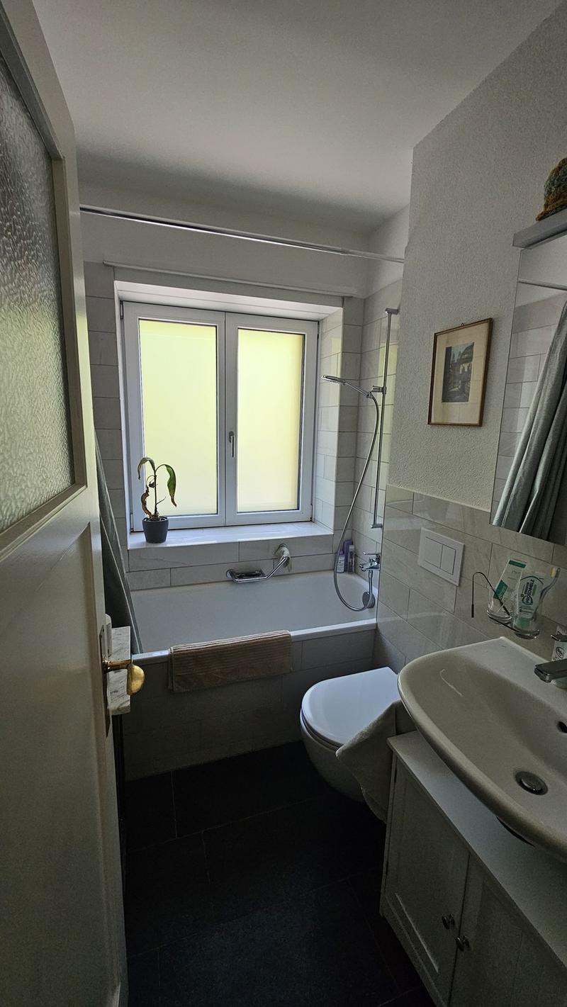 Sunny 2.5 room apartment in Zürich Enge (8)