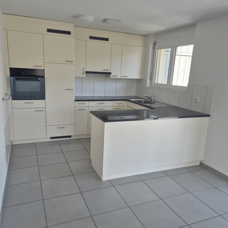 Appartamento moderno 3.5 locali con terrazza molto soleggiata (1)