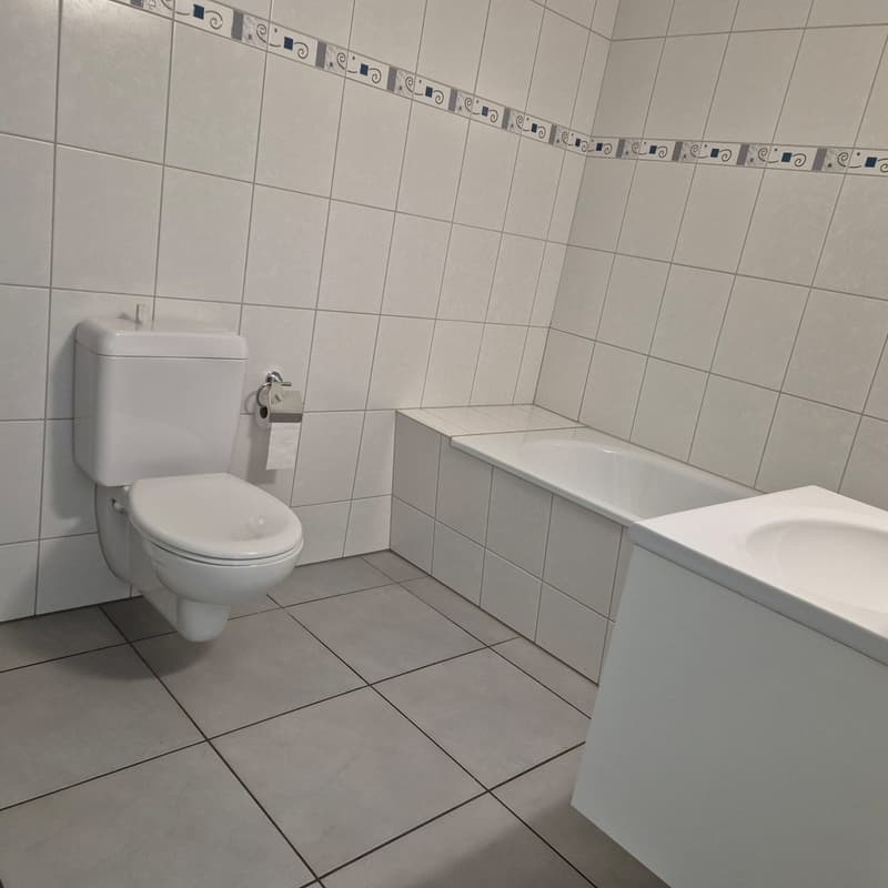 Appartamento moderno 3.5 locali con terrazza molto soleggiata (6)