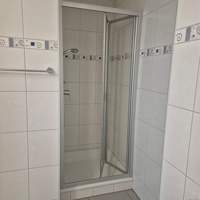 Appartamento moderno 3.5 locali con terrazza molto soleggiata (10)