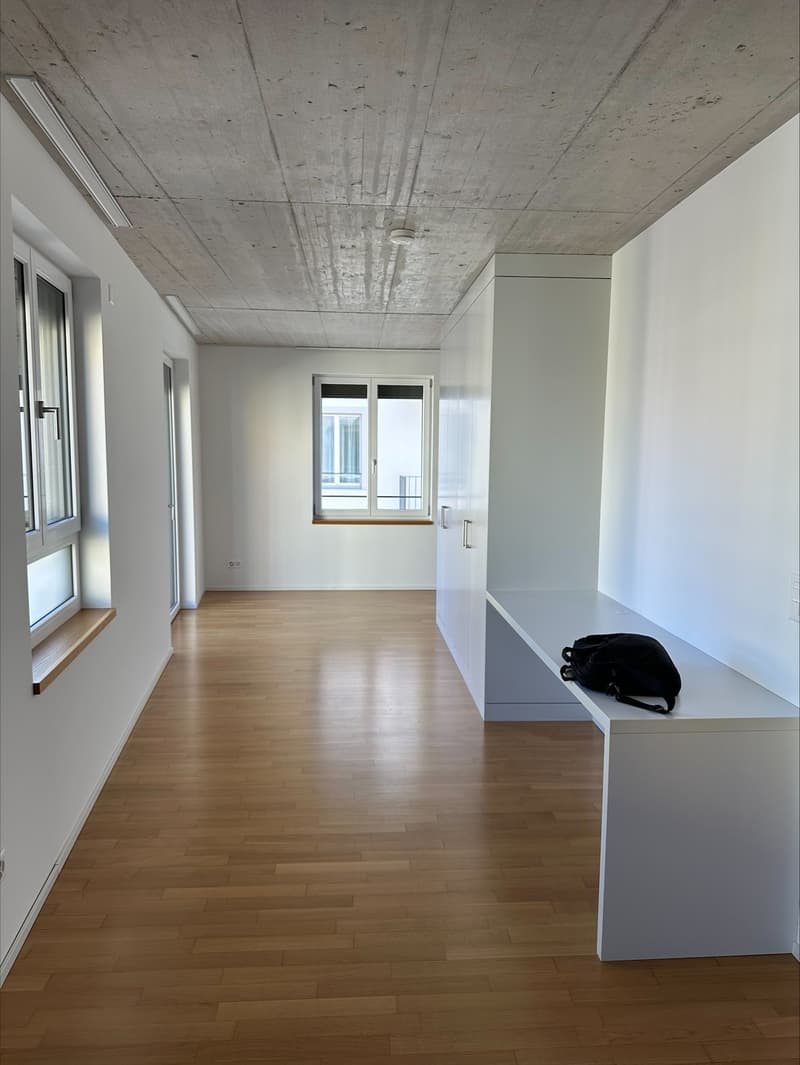 Modern 1-Room Apartment with Balcony Kanzleistrasse 225, Zurich (1)