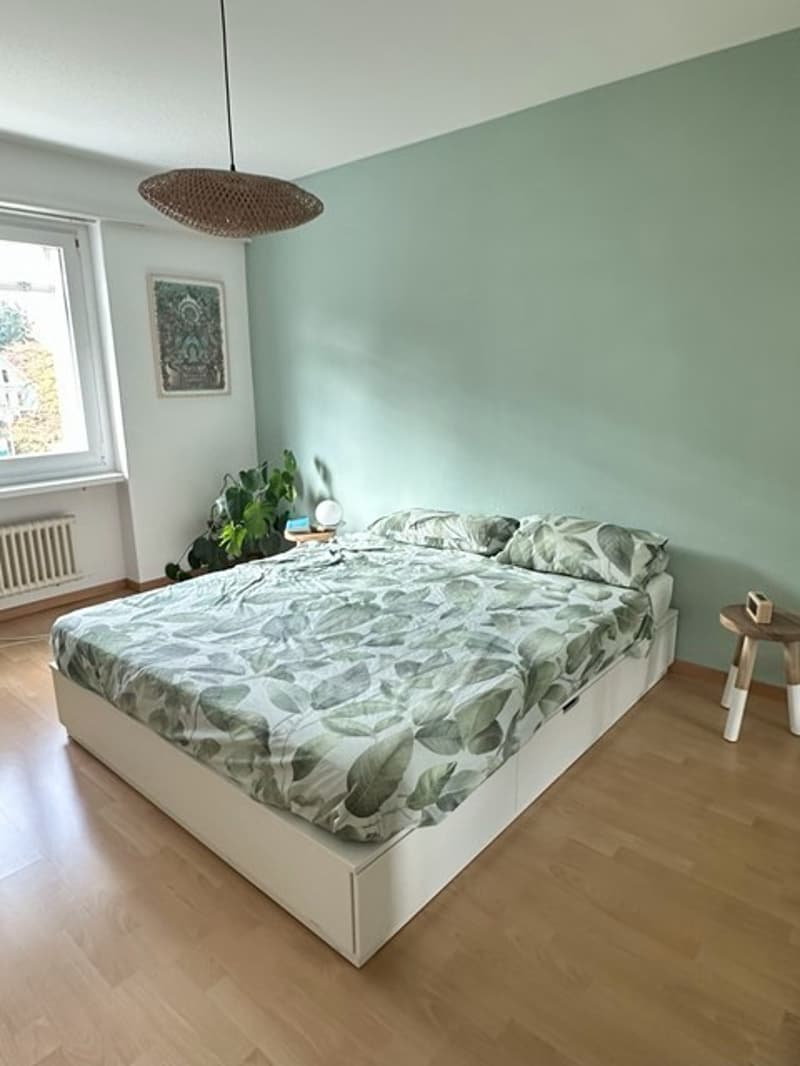 2 ½ rooms apartment, 8050 Zürich (4)