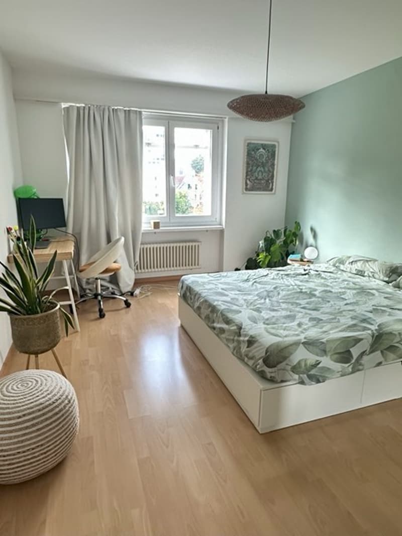 2 ½ rooms apartment, 8050 Zürich (5)