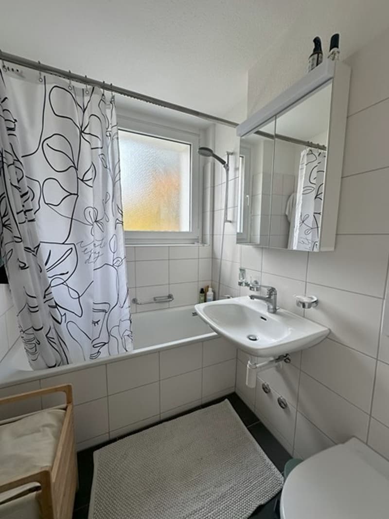 2 ½ rooms apartment, 8050 Zürich (7)
