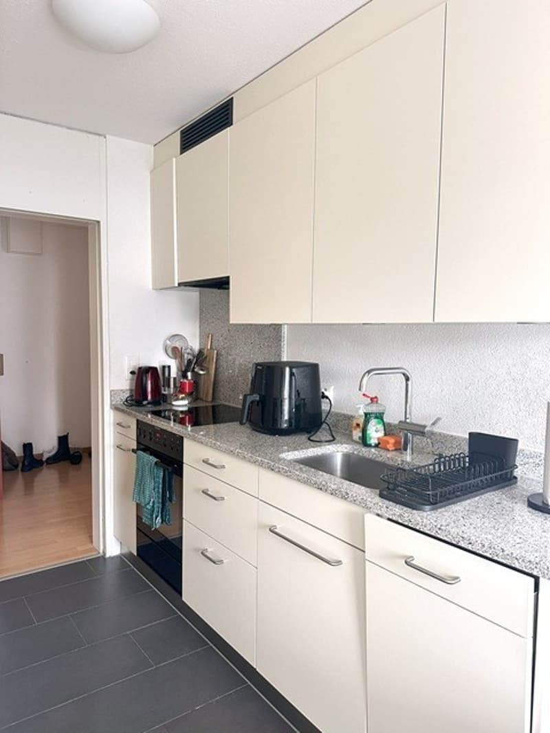 2 ½ rooms apartment, 8050 Zürich (3)