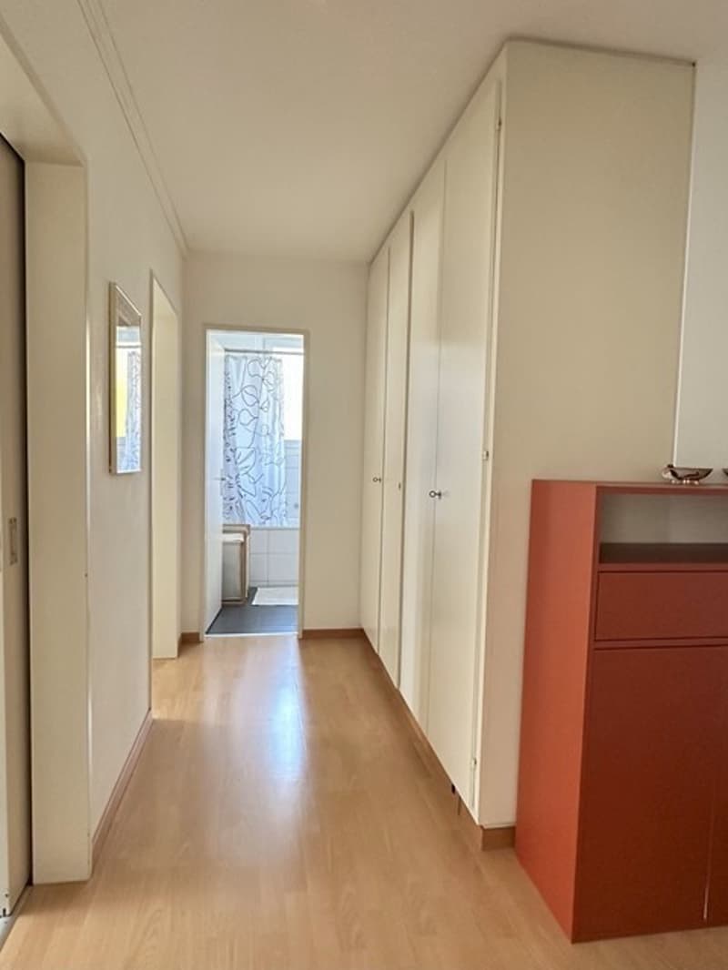 2 ½ rooms apartment, 8050 Zürich (6)