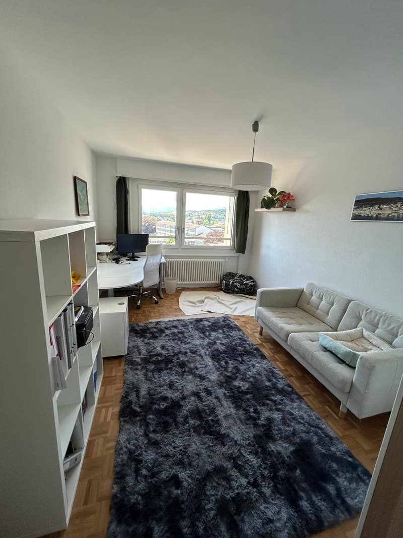 Wohnung 3.5 Zimmer hell mit Panoramablick in Yverdon-les-Bains (9)