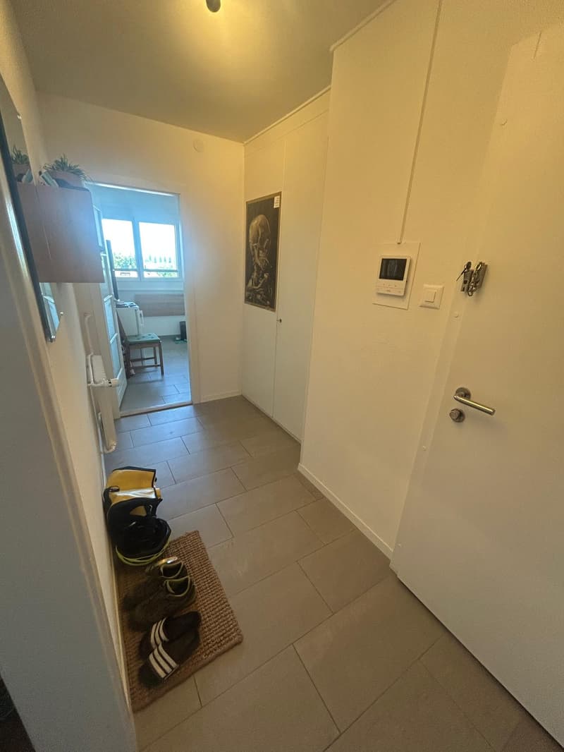 Wohnung 3.5 Zimmer hell mit Panoramablick in Yverdon-les-Bains (4)