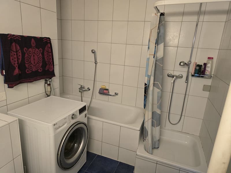 Apartment 4 ½ rooms, 3900 Brig (10)