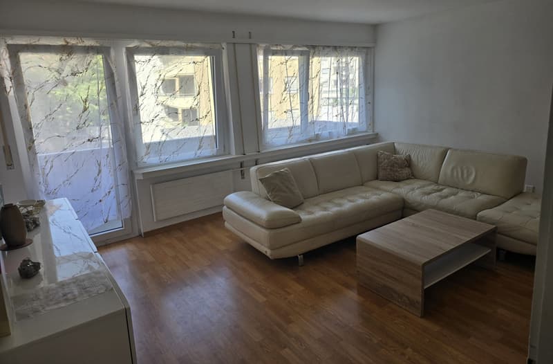 Apartment 4 ½ rooms, 3900 Brig (9)