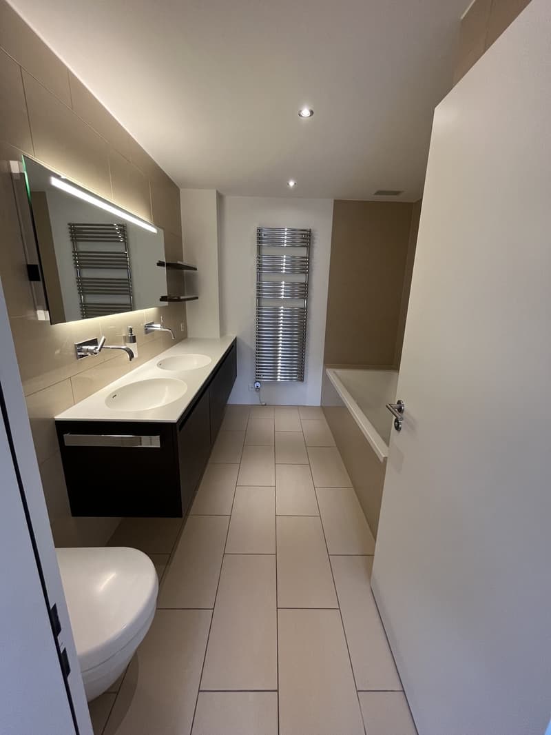 Furnished Apartment for Sublet | available immediately or by arrangement (6)