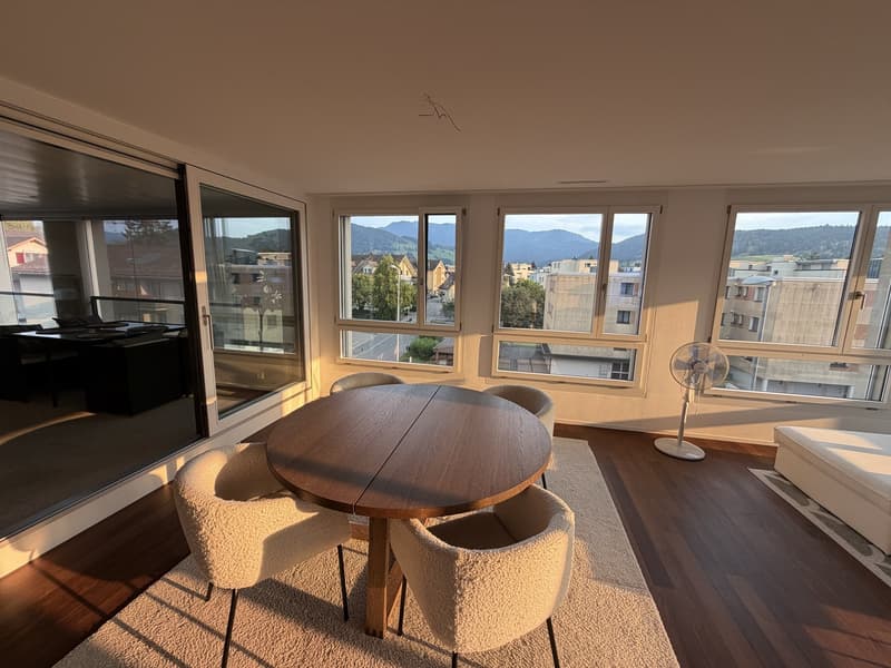 Furnished Apartment for Sublet | available immediately or by arrangement (2)