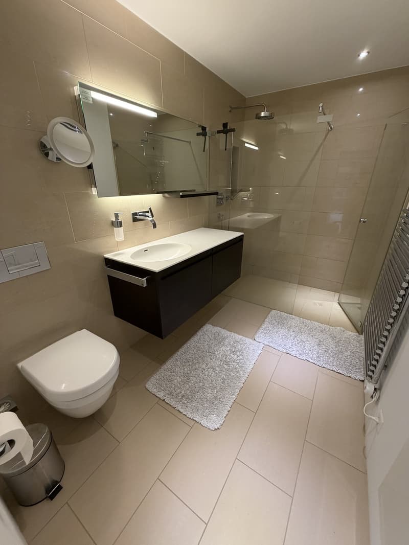 Furnished Apartment for Sublet | available immediately or by arrangement (7)
