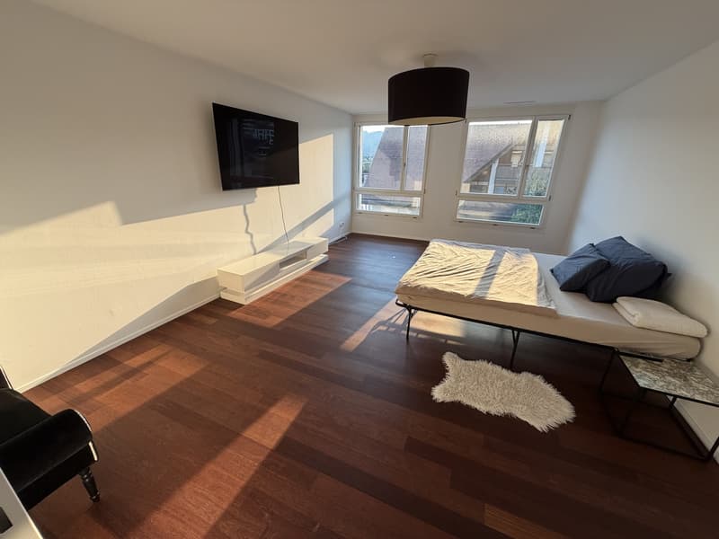 Furnished Apartment for Sublet | available immediately or by arrangement (8)