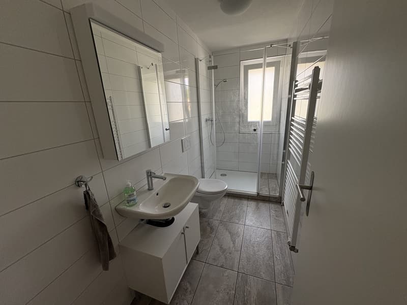 Appartement de 2,5 pièces moderne à Zürich (Oerlikon) (3)