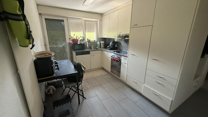 3.5 Zimmer Wohnung in Emmen 6032 (6)