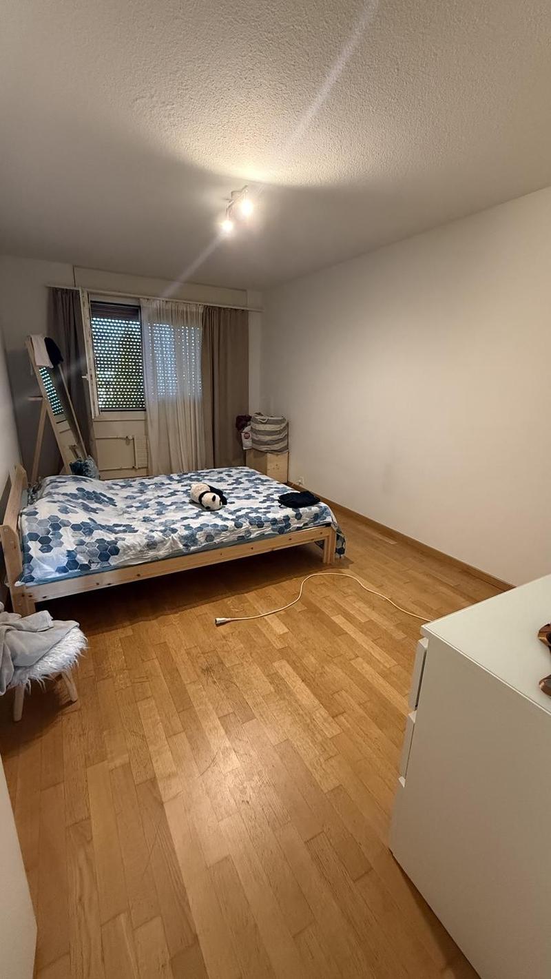 3.5 Zimmer Wohnung in Emmen 6032 (3)
