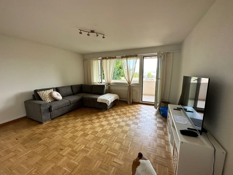3.5 Zimmer Wohnung in Emmen 6032 (1)