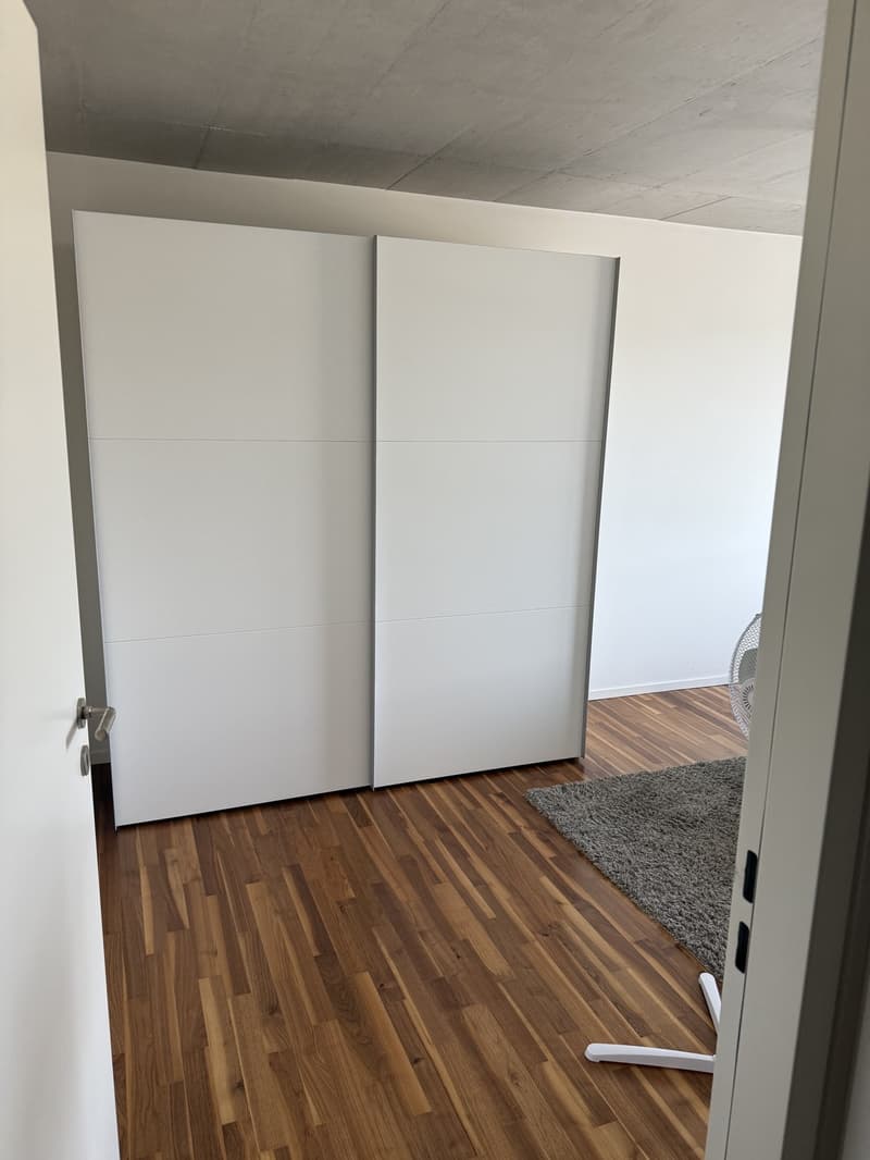 Appartamento a Schlieren (13)