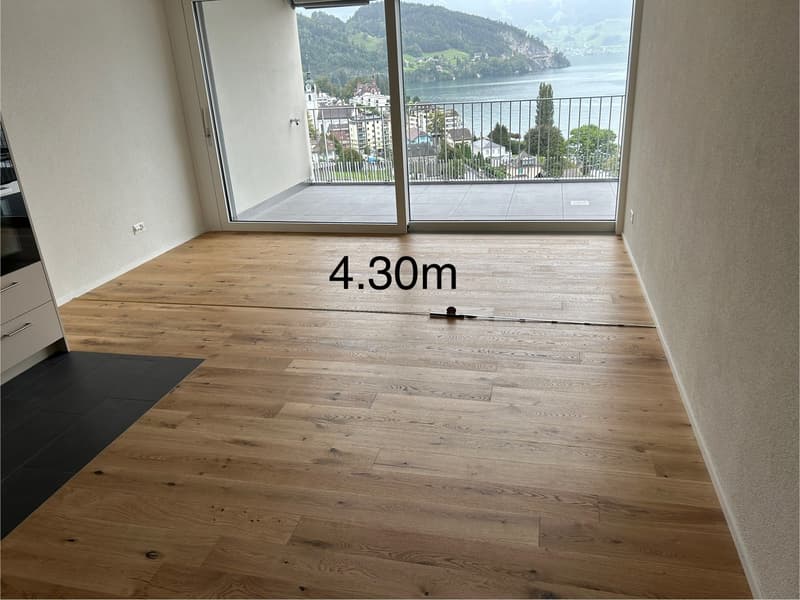 Appartamento di 2.5 locali con vista da sogno sul lago di Lucerna (7)
