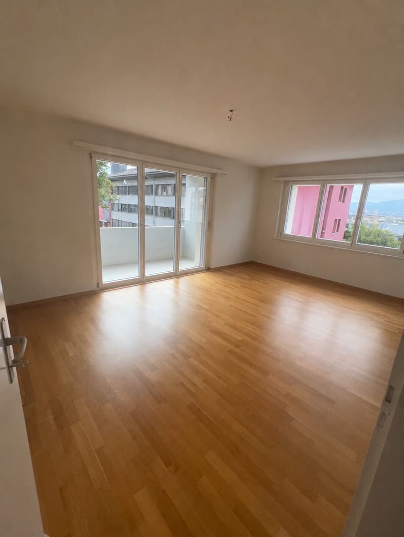 Appartement 2 pièces lumineux à Zürich-Wipkingen (1)
