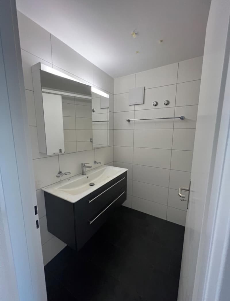 Recherche locataire immédiat / Appartement moderne au rez-de-chaussée de 4,5 pièces avec grande terrasse et balcon en centre-ville. (4)