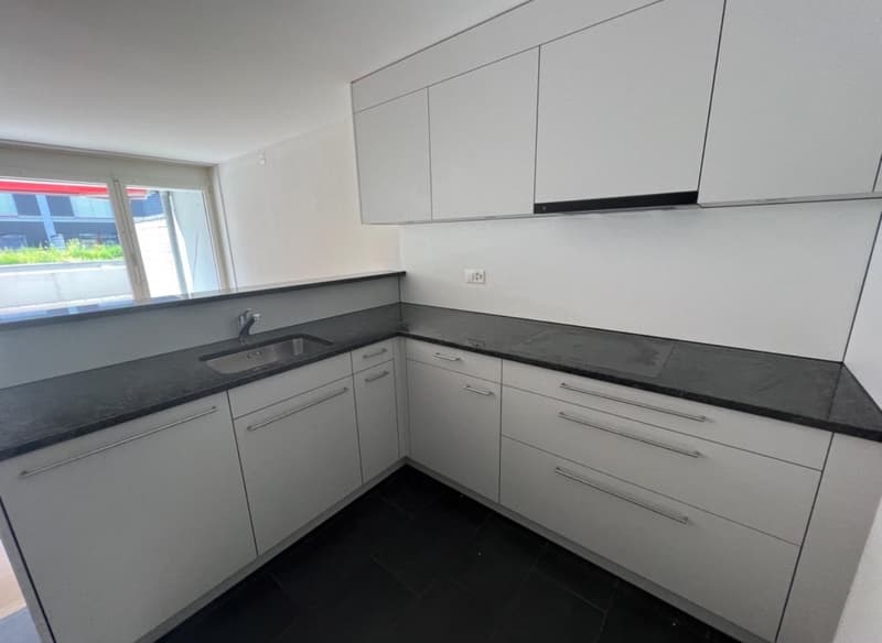 Recherche locataire immédiat / Appartement moderne au rez-de-chaussée de 4,5 pièces avec grande terrasse et balcon en centre-ville. (10)