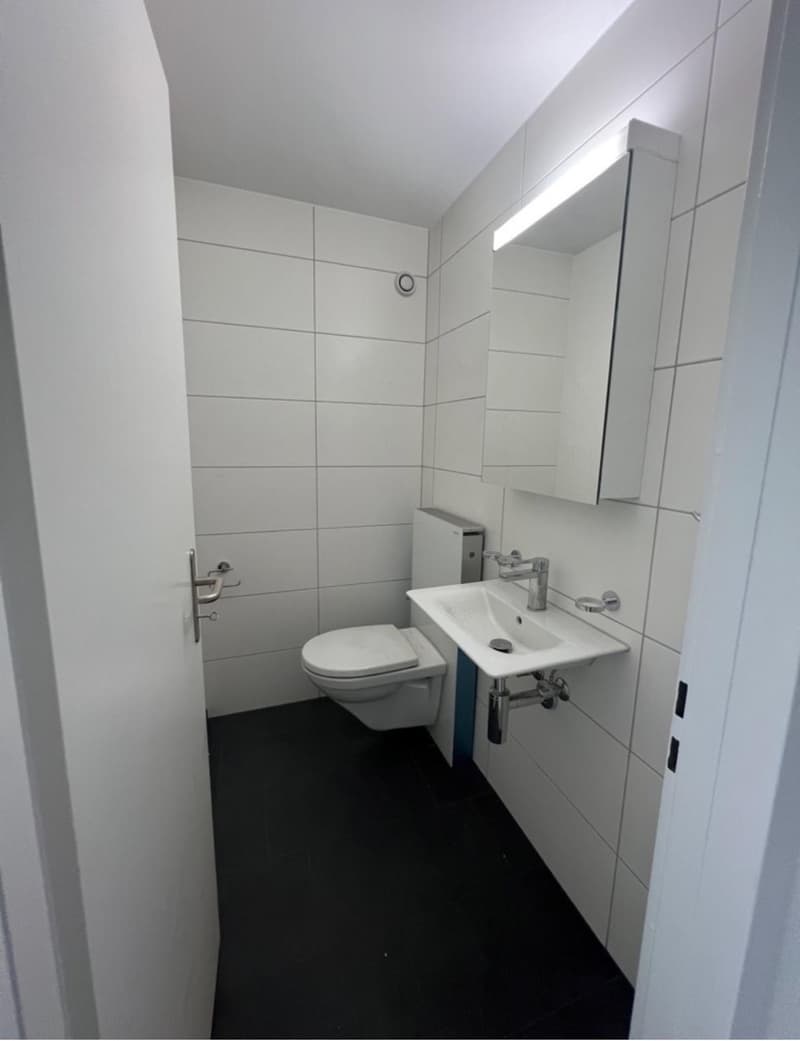 Recherche locataire immédiat / Appartement moderne au rez-de-chaussée de 4,5 pièces avec grande terrasse et balcon en centre-ville. (3)