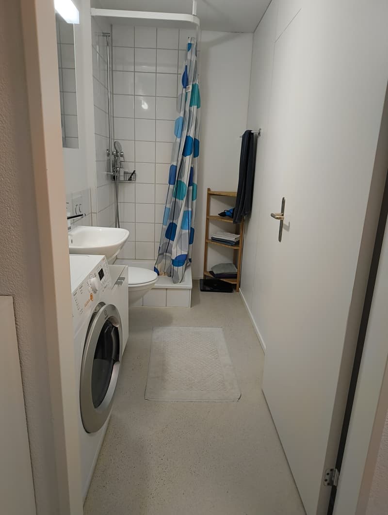 Appartamento monostanza ad Aesch (ZH) (4)