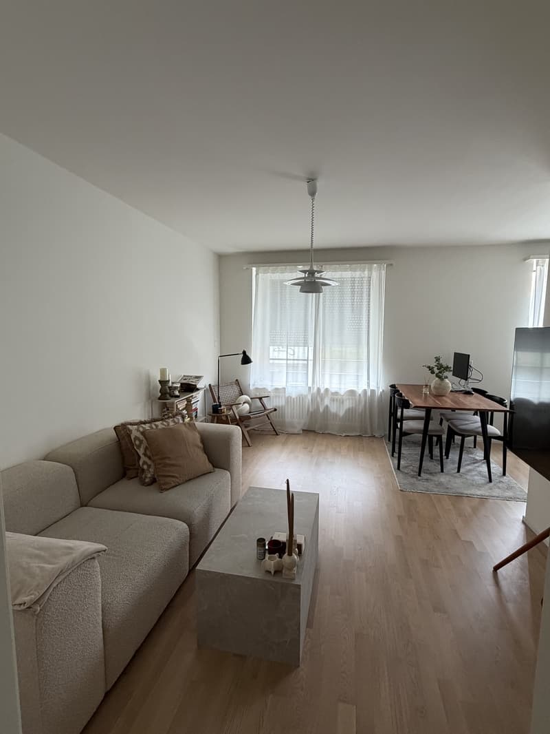 Beautiful 2.5 room apartment in popular Wiedikon (1)