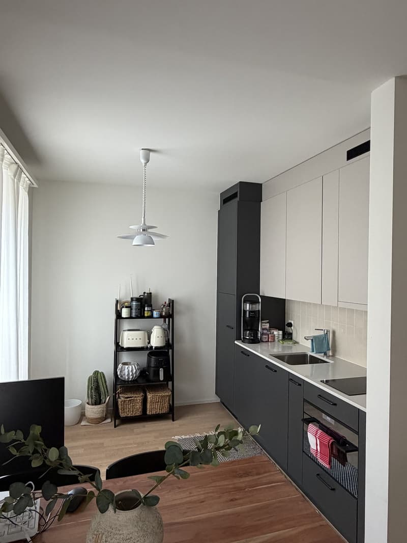 Beautiful 2.5 room apartment in popular Wiedikon (5)