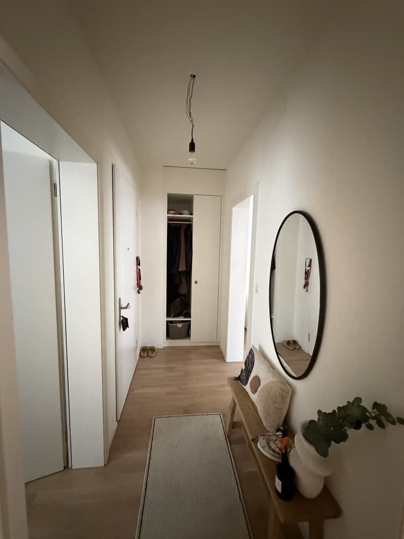 Beautiful 2.5 room apartment in popular Wiedikon (6)