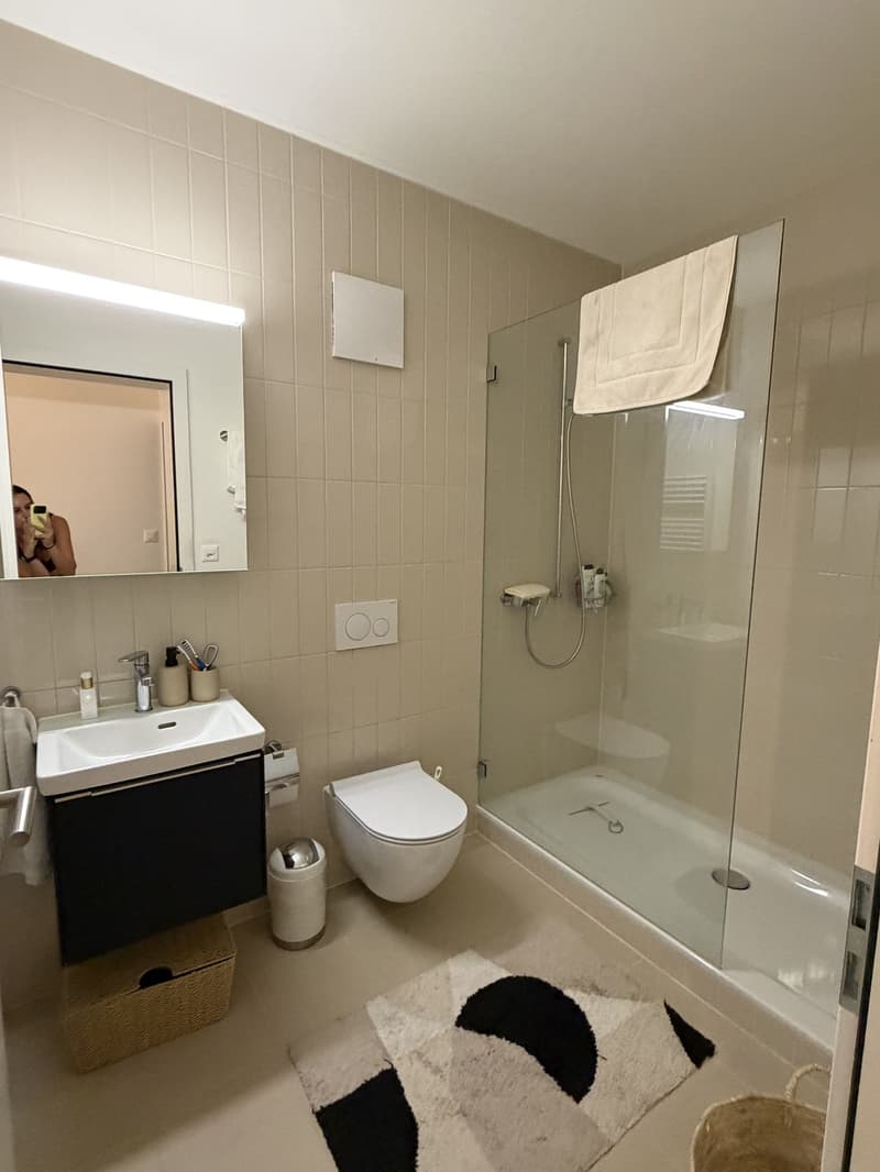 Beautiful 2.5 room apartment in popular Wiedikon (3)