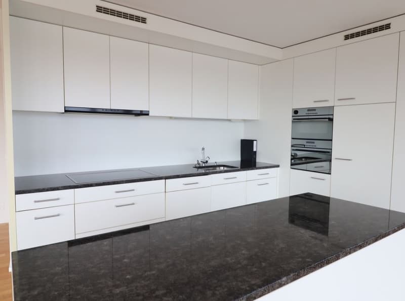 Bright 3.5-room attic apartment with over 100 sqm dream terrace! (7)