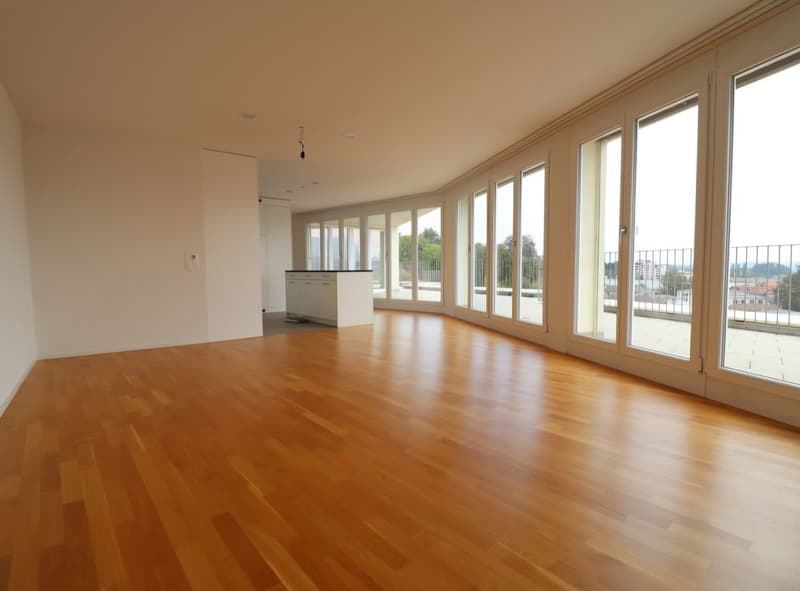 Bright 3.5-room attic apartment with over 100 sqm dream terrace! (1)