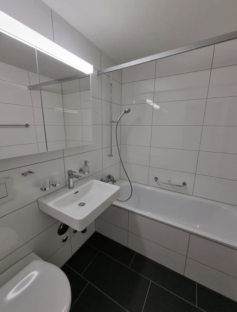 Moderne 3 Zimmerwohnung, Nähe Zürich (5)