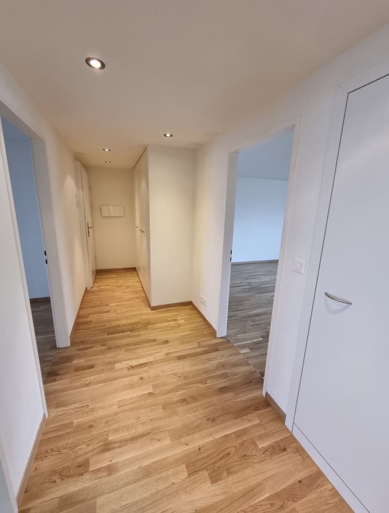 Moderne 3 Zimmerwohnung, Nähe Zürich (1)