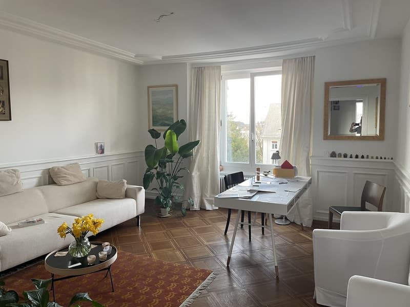 Sunny Room  Seefeld, Zurich (5)