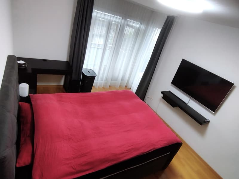 Modern 4.5-room apartment (2-person shared apartment) with barbecue area and bocce court; 10 minutes from Uster train station and city center (3)