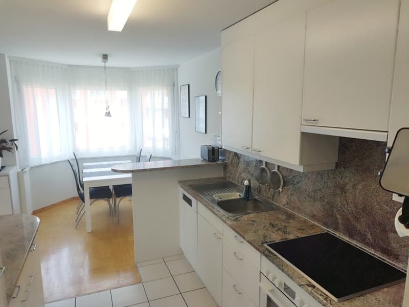 Modern 4.5-room apartment (2-person shared apartment) with barbecue area and bocce court; 10 minutes from Uster train station and city center (9)