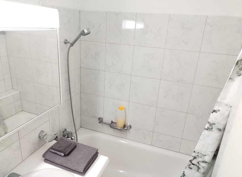 Modern 4.5-room apartment (2-person shared apartment) with barbecue area and bocce court; 10 minutes from Uster train station and city center (6)