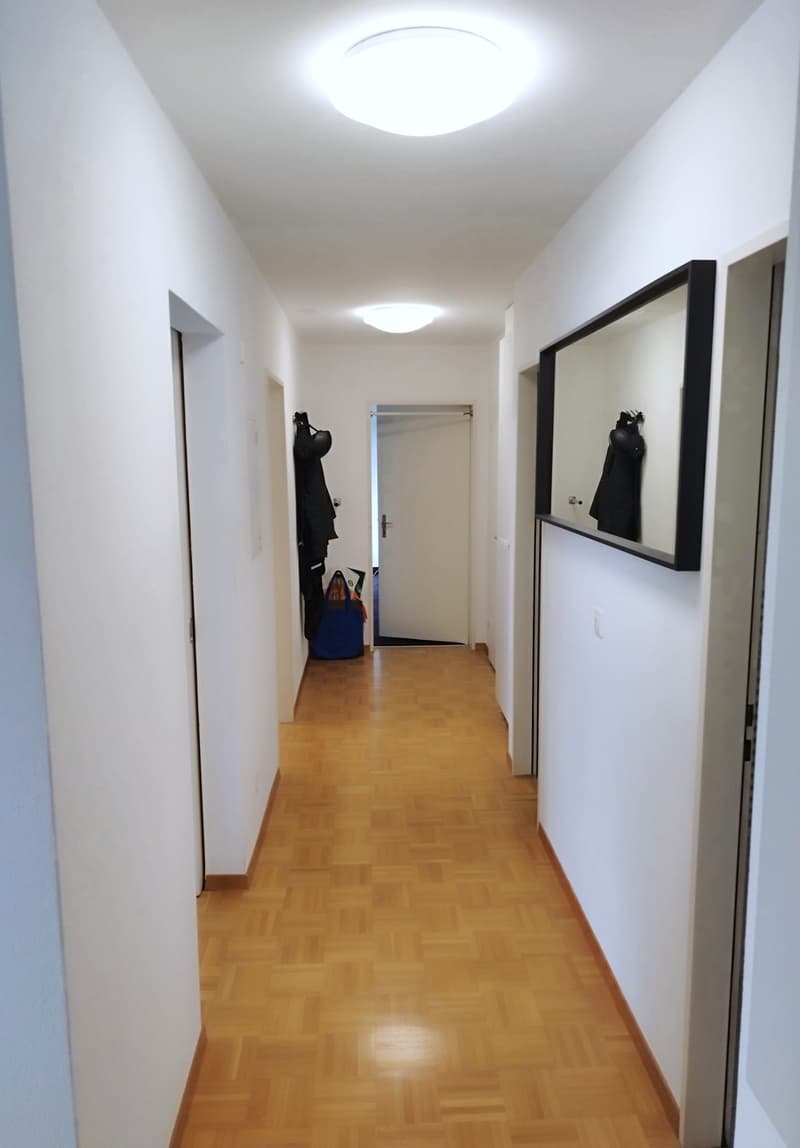 Modern 4.5-room apartment (2-person shared apartment) with barbecue area and bocce court; 10 minutes from Uster train station and city center (11)
