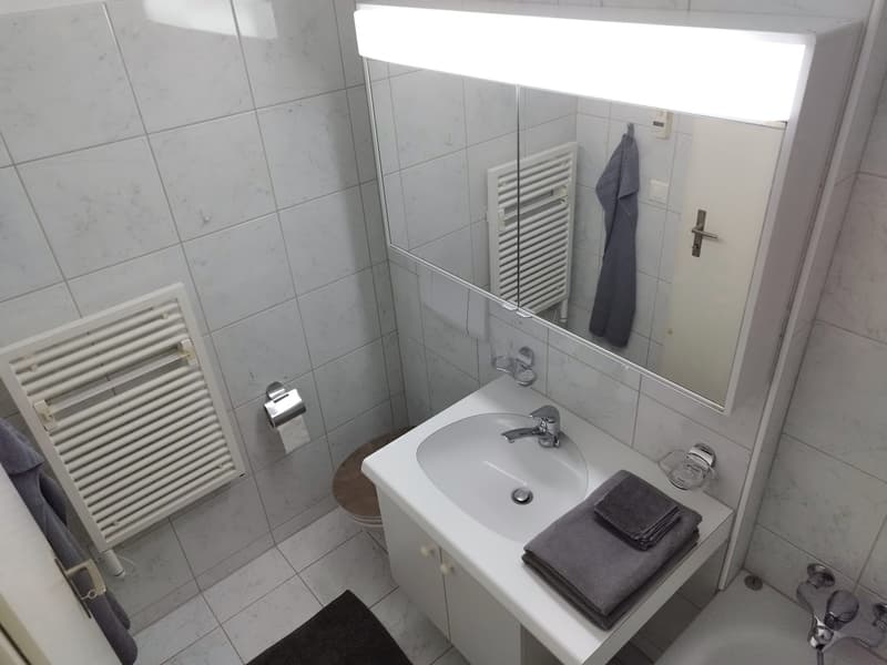 Modern 4.5-room apartment (2-person shared apartment) with barbecue area and bocce court; 10 minutes from Uster train station and city center (5)